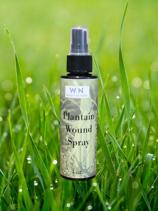 Plantain Wound Spray