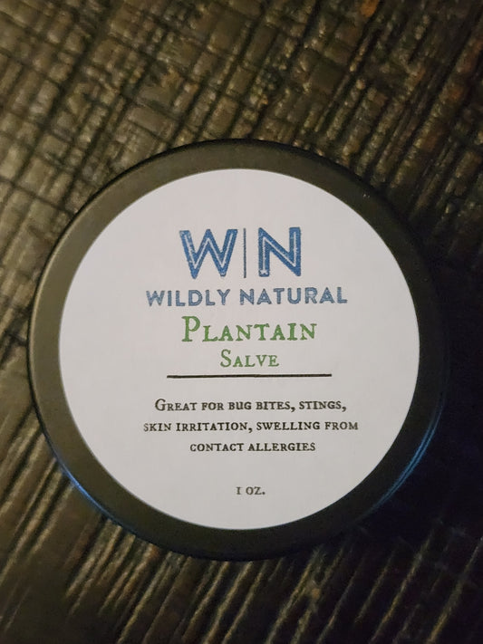 Plantain Salve 1oz.